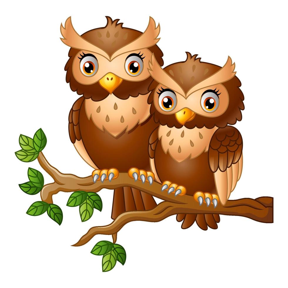 Cute couple owl on the tree branch vector