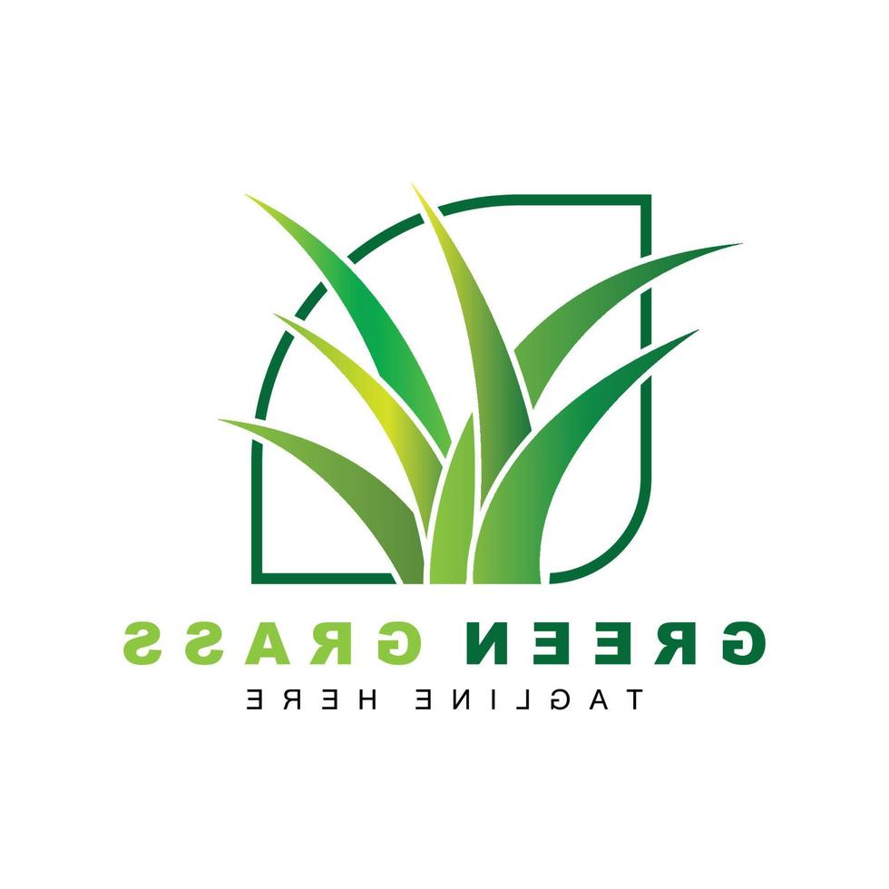 Green Grass Logo Design, Farm Landscape Illustration, Natural Scenery Vector