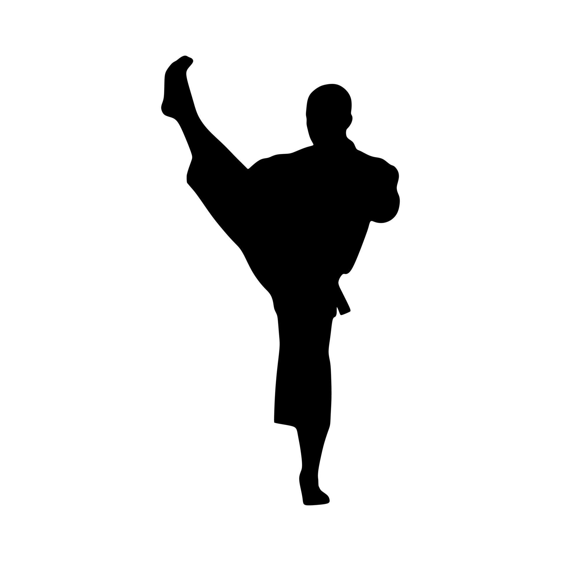 karate silhouette and taekwondo on a white background 10777960 Vector ...