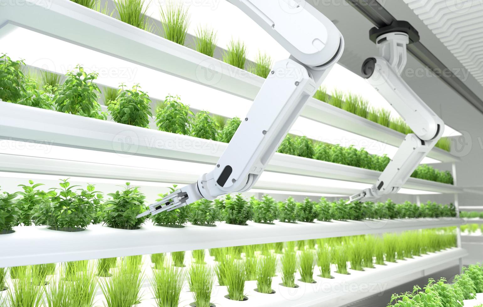 Smart robotic farmers concept, robot farmers, Agriculture technology, Farm automation. photo