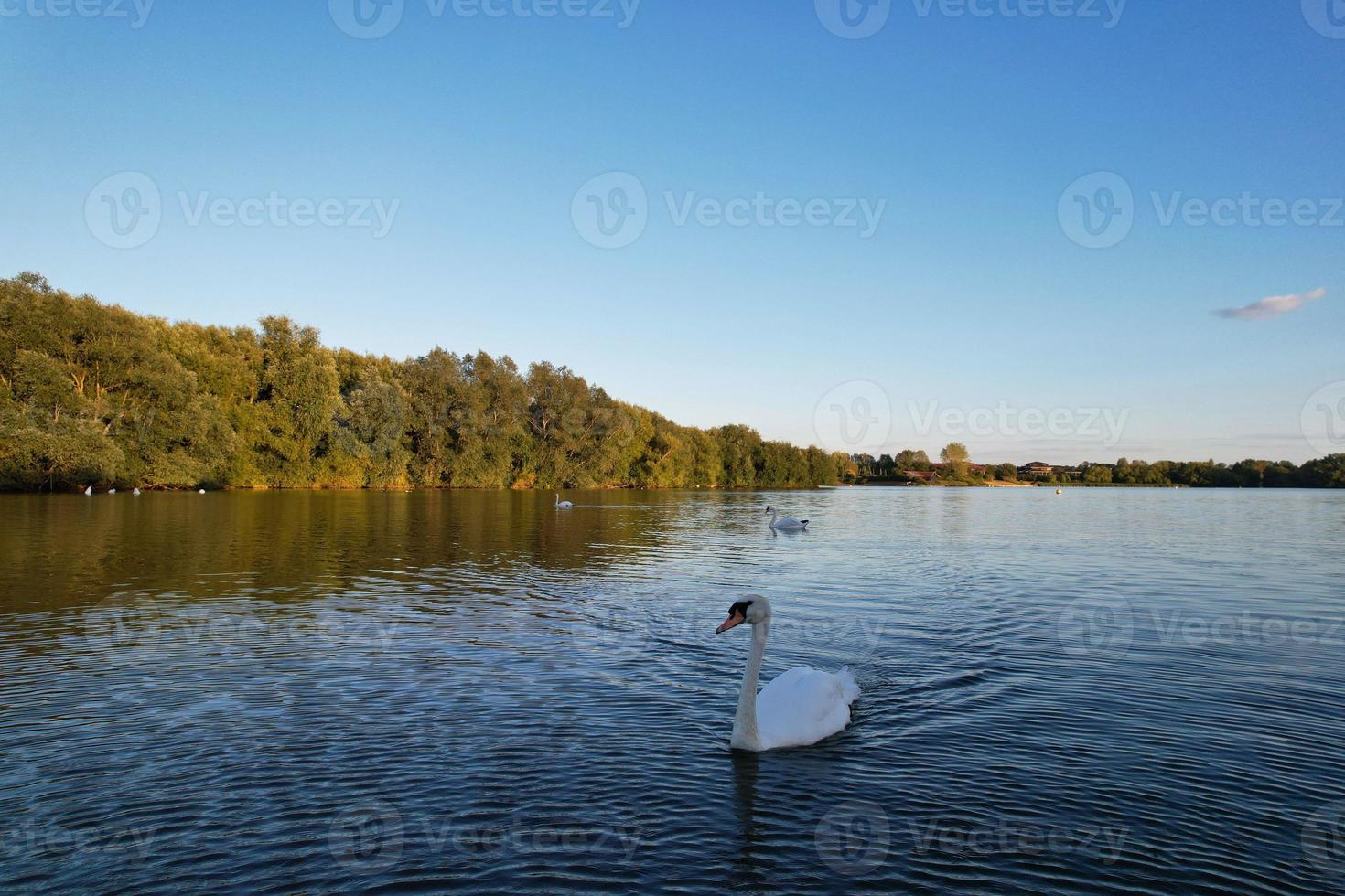Cute Water Birds Swimming, Footage of Willen Lake and Park which is located at Milton Keynes, England. People are Enjoying at Lake on a Hot Sunny Day of Summer. Video Clip Captured on 21-8-2022 photo