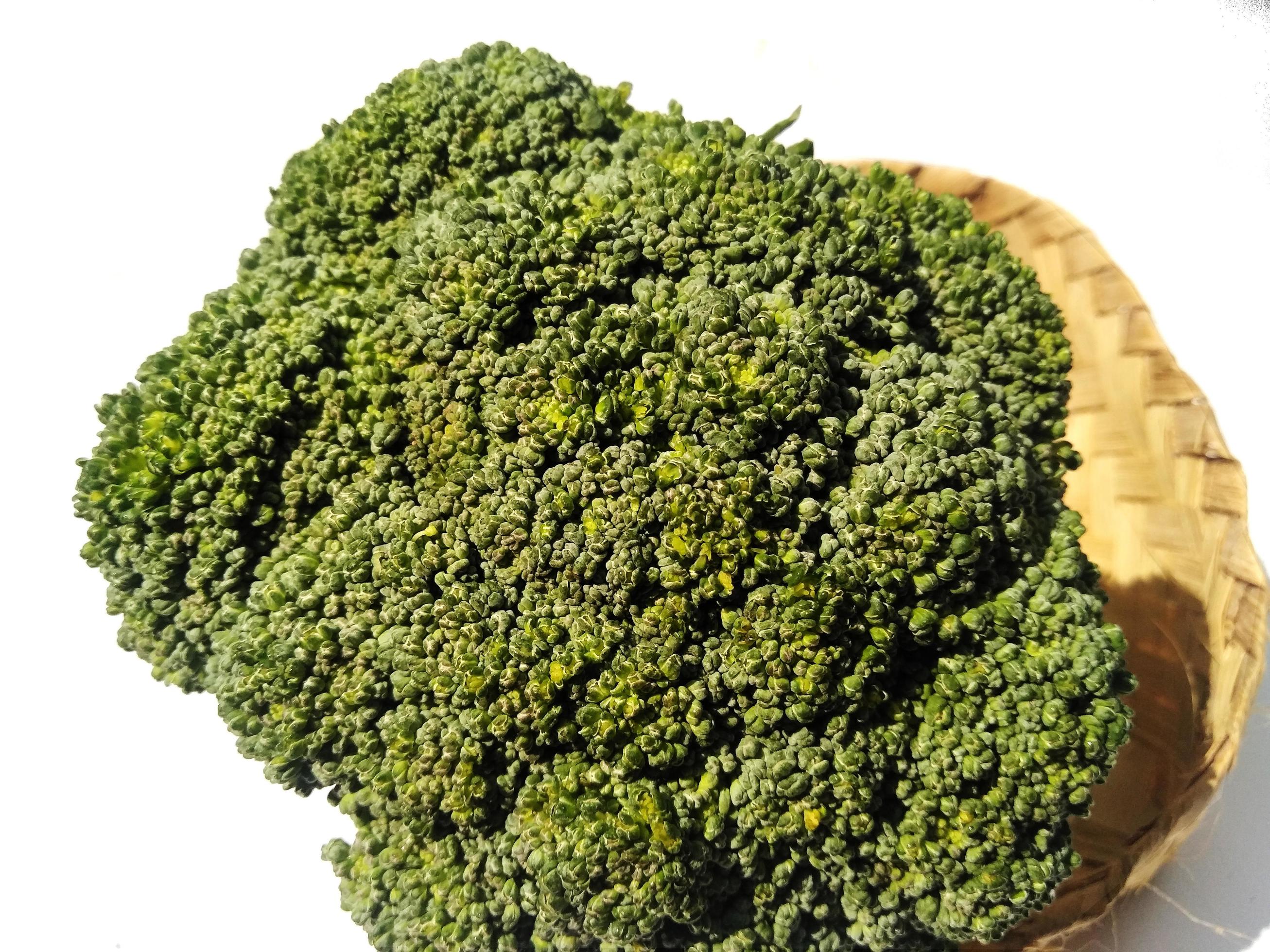 broccoli isolated on a white background, Broccoli is a cultivar of the