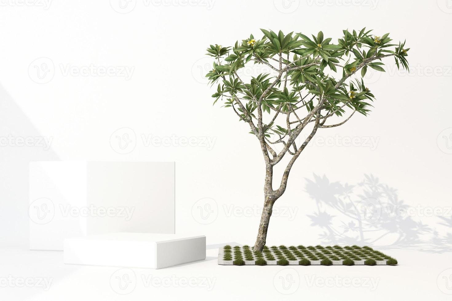 3D render of tropical plants isolated on white background. photo