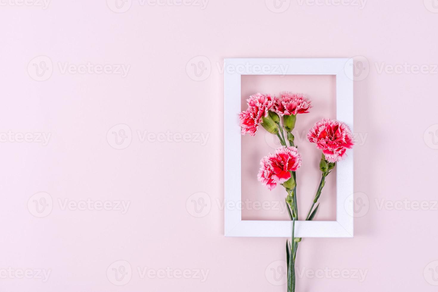 Mother's Day, Valentine's Day background design concept, beautiful pink, red carnation flower bouquet on pink table, top view, flat lay, copy space. photo