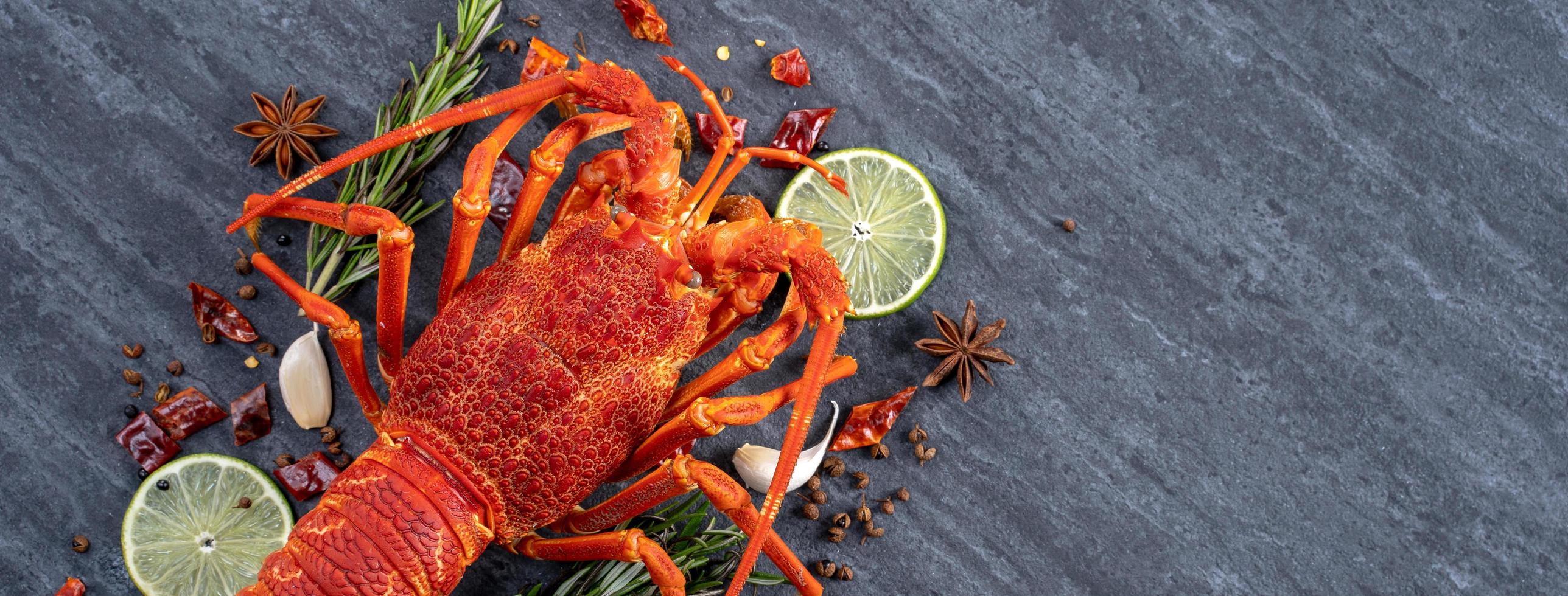 Cooked boiled lobster, delicious dinner seafood meal set with knife and fork on black stone slate background, restaurant menu design, top view, overhead photo