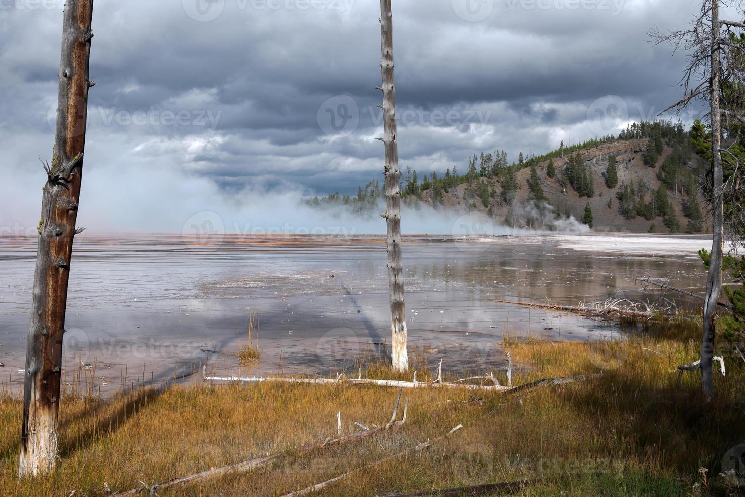 árboles muertos con calcetas en el gran manantial prismático en yellowstone foto