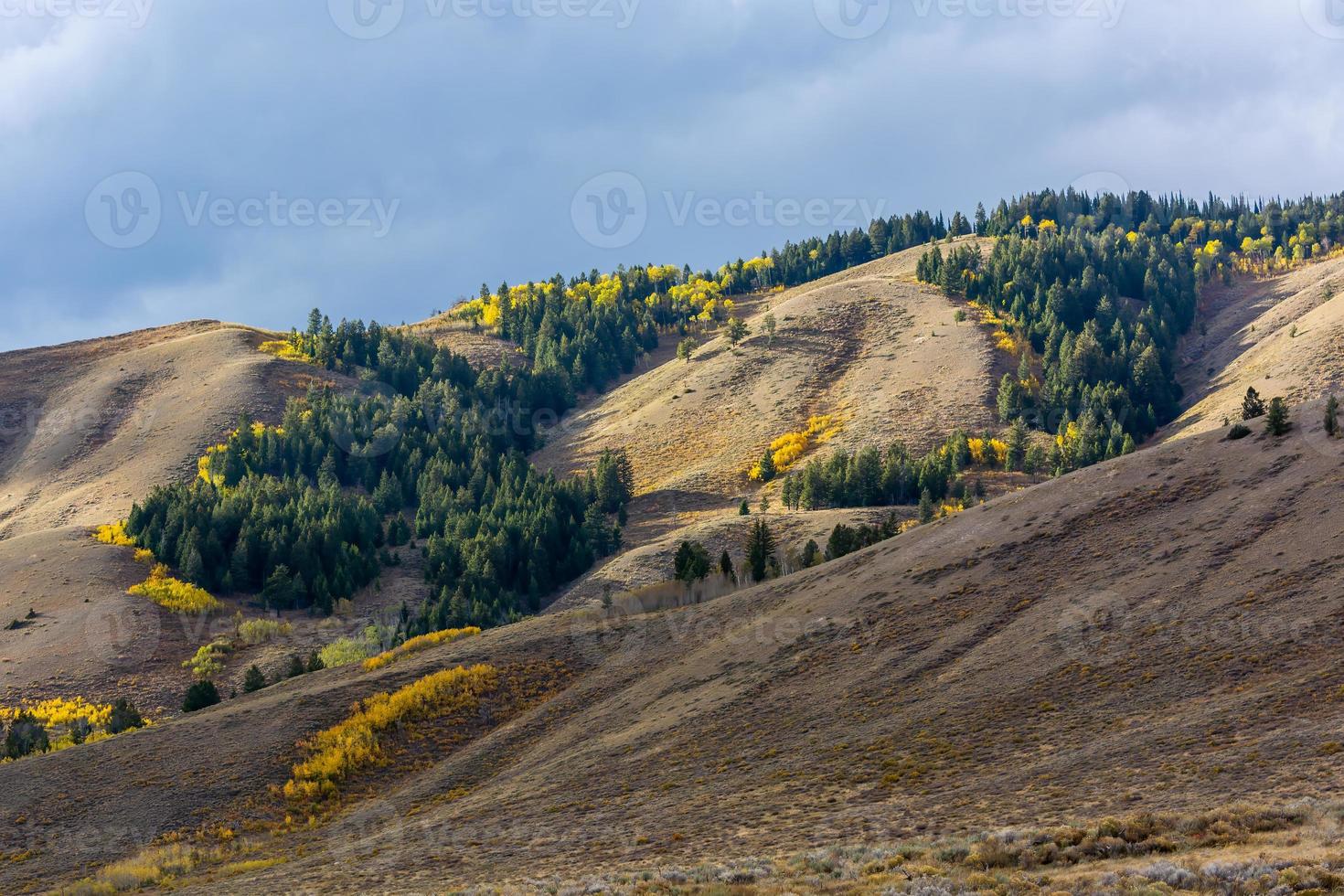 Scenic view of the Grand Teton National Park photo