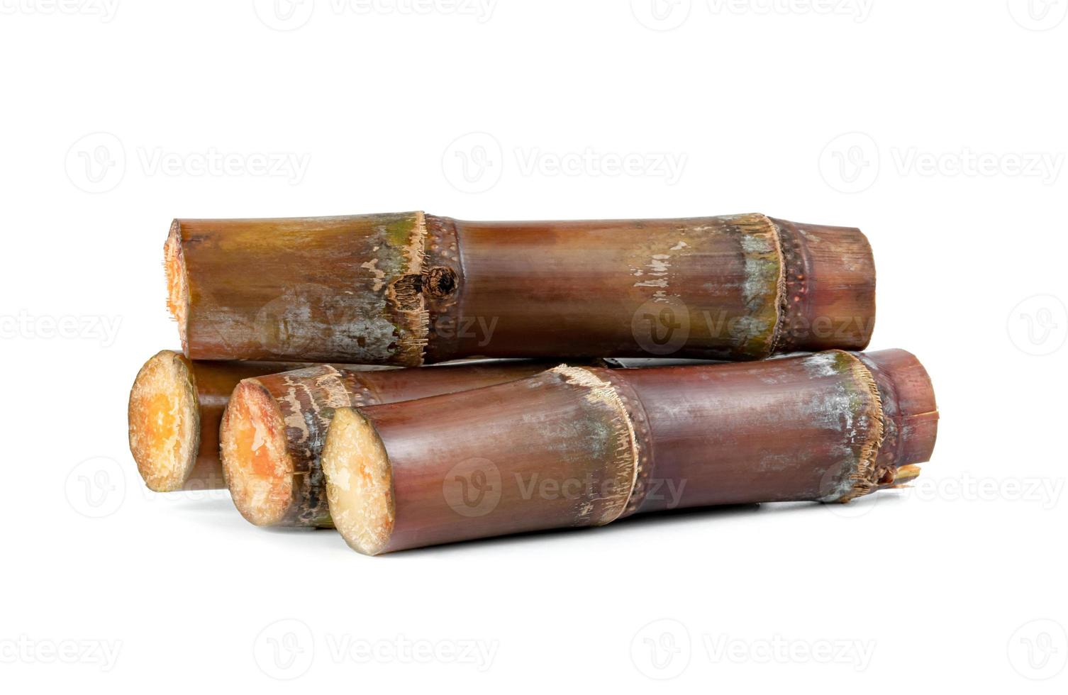 sugar cane isolated on white background photo