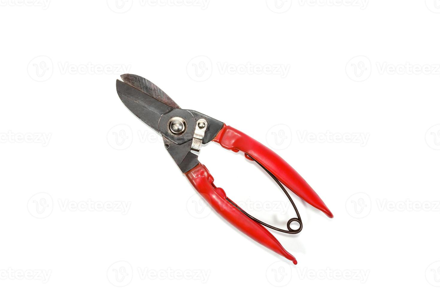 red garden scissors on white isolated background photo