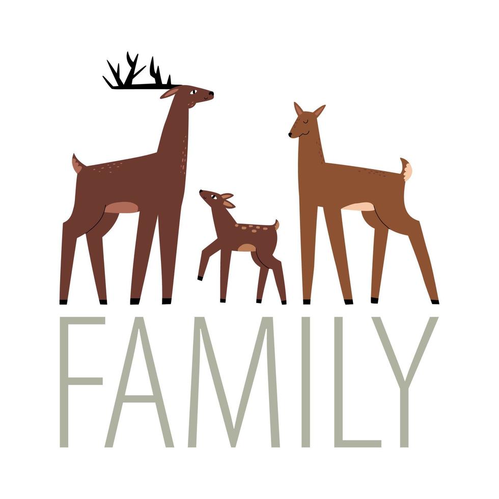 deer family drawn in flat style by hands. vector children's illustration.