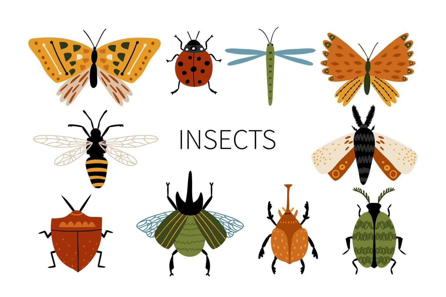 colección de insectos forestales dibujados en estilo plano. mariposas, escarabajos, libélulas. la naturaleza salvaje. vector