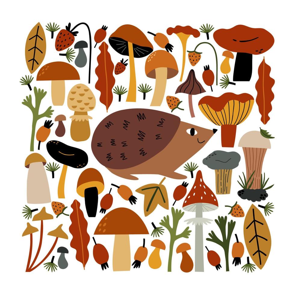 forest hedgehog and many different forest mushrooms hand drawn in flat style. vector children's illustration.