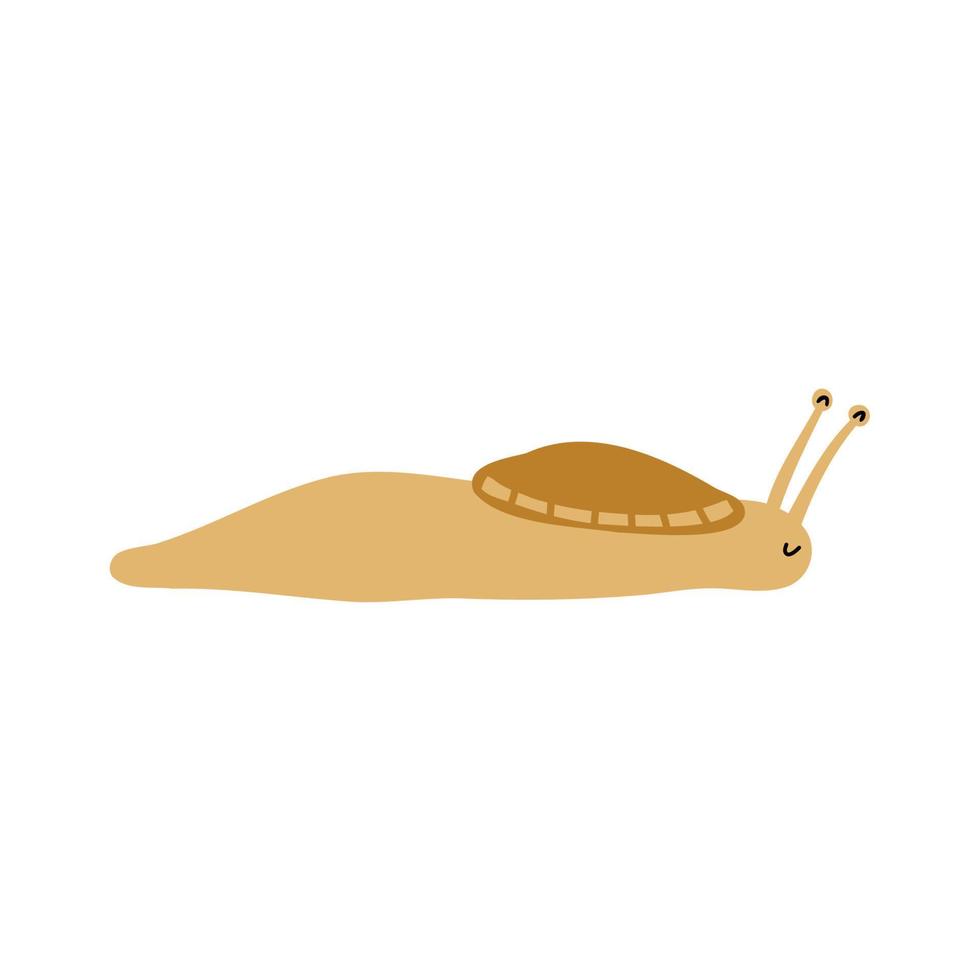 Hand drawn snail in flat style. vector children's illustration.