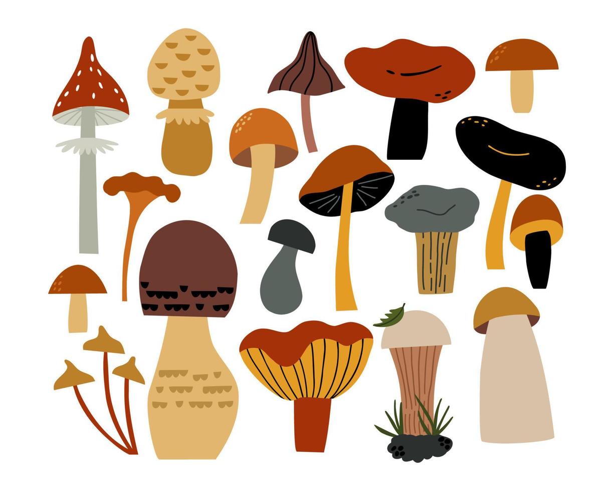 set with mushrooms. hand drawn flat vector illustration