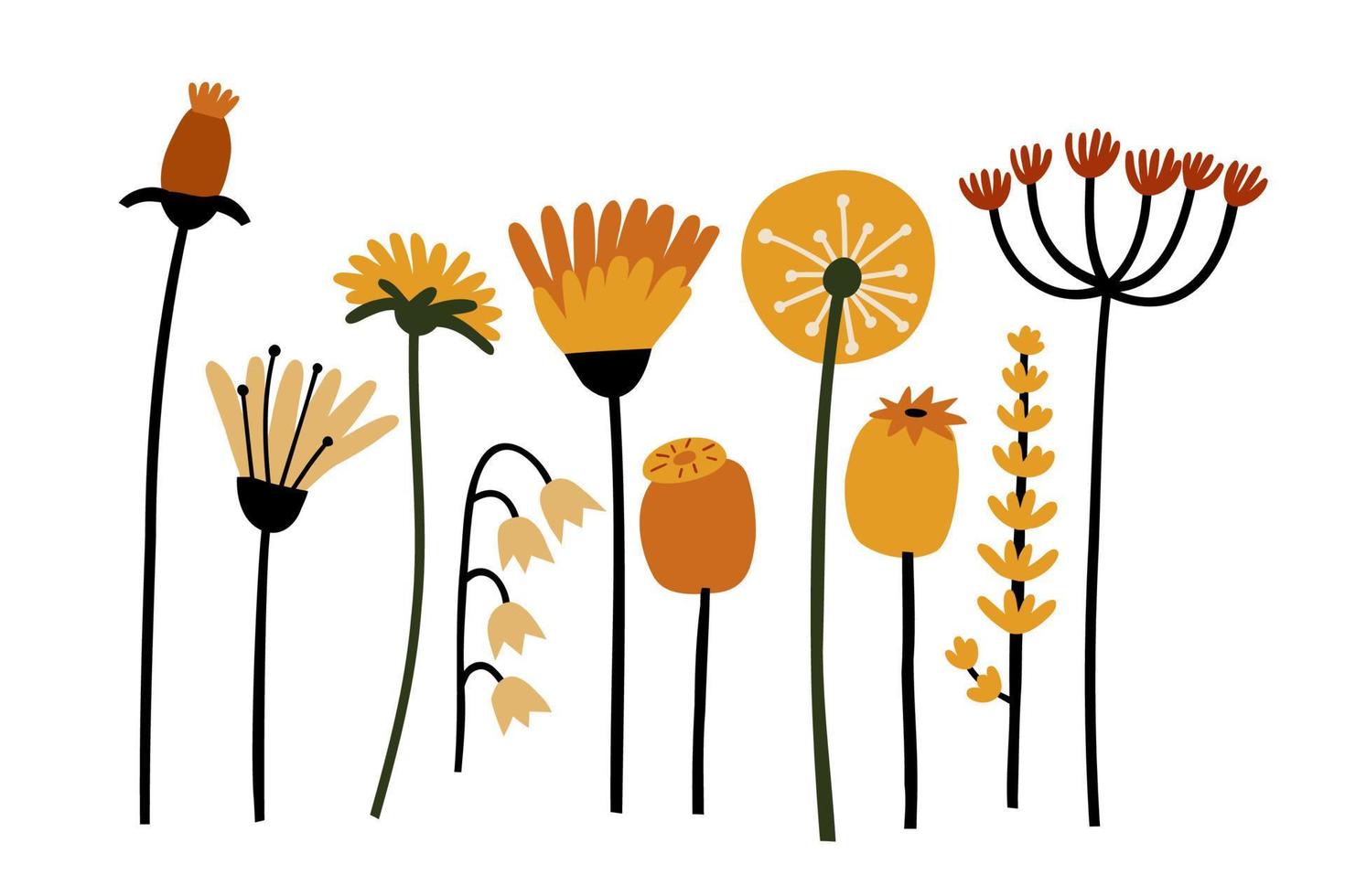 set with wildflowers. hand drawn flat vector illustration