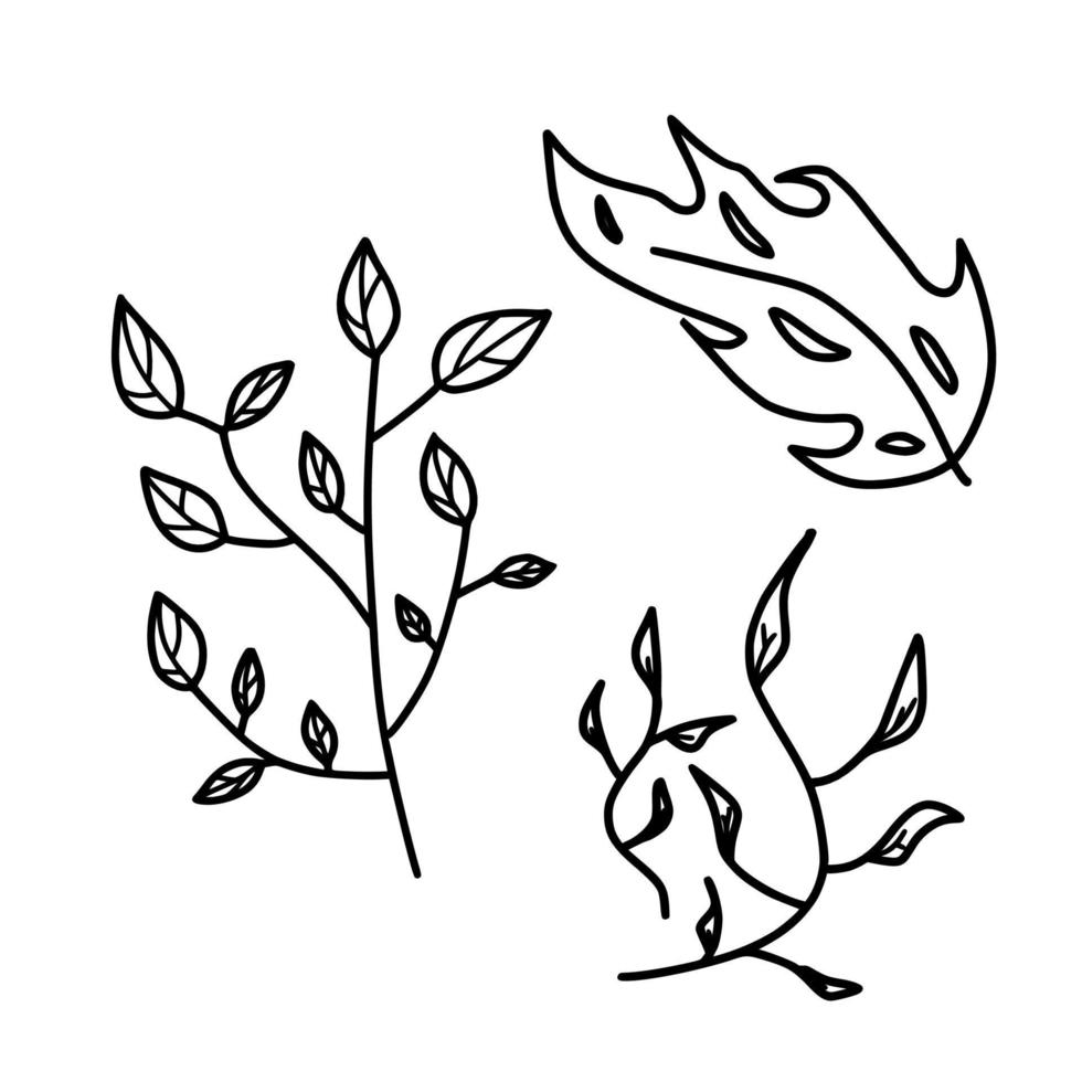 Floral Monoline background vector