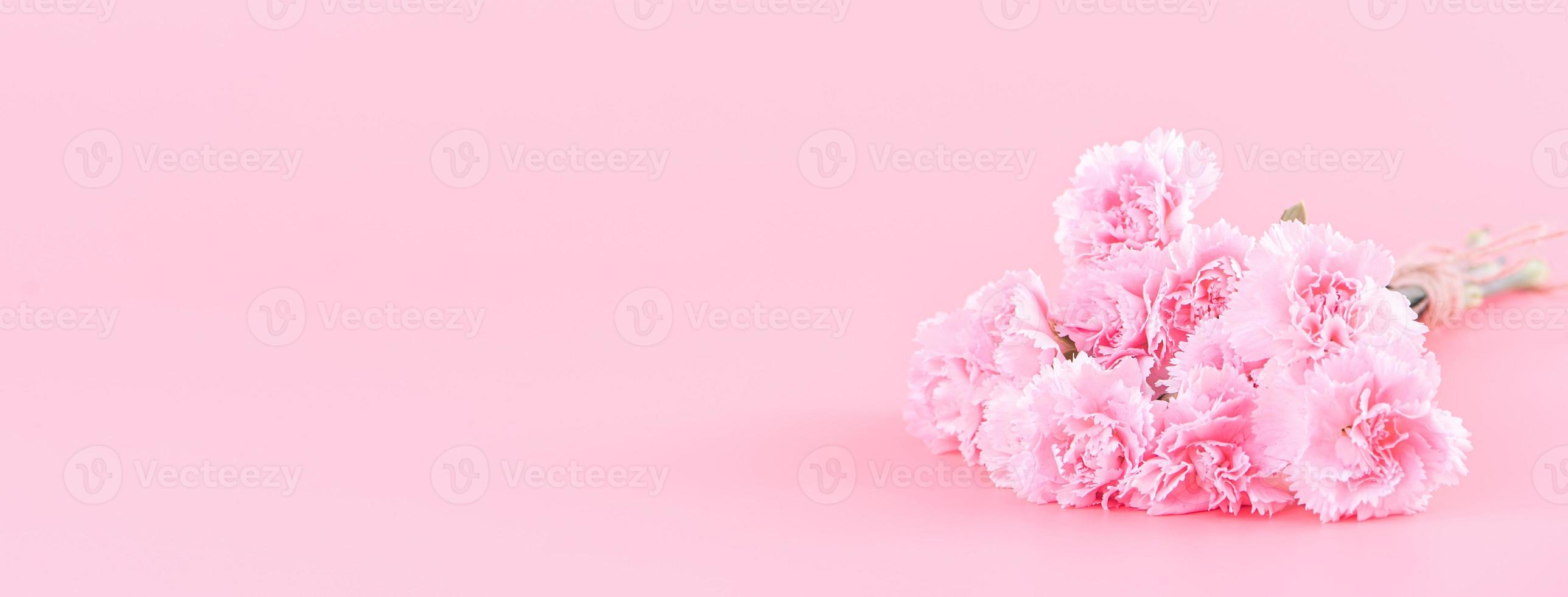 Mother's Day holiday gift design concept, pink carnation flower bouquet with wrapped box isolated on light pink background, copy space. photo