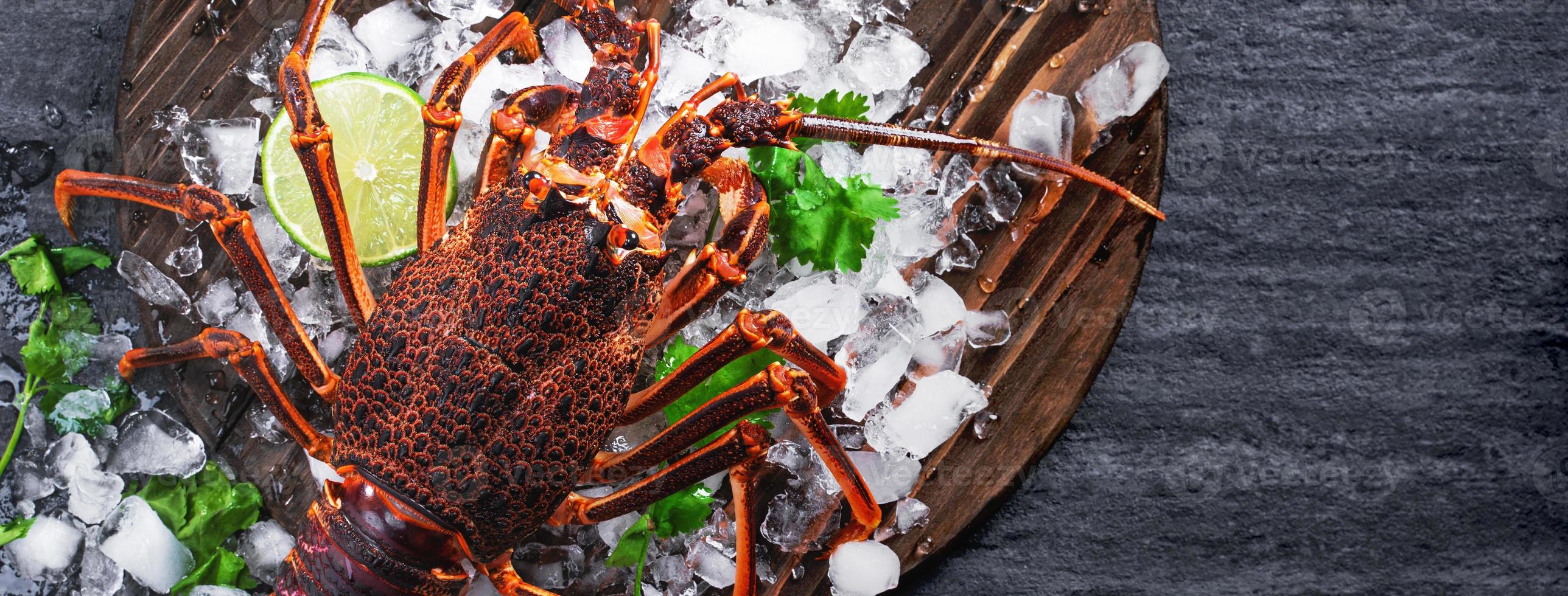 Raw fresh Cape rock lobster, West Coast rock lobster, Jasus lalandii on a dark slate background with cold ice cubes, top view, flat lay, overhead shot. photo