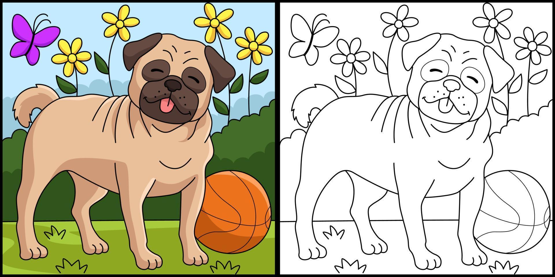 Pug Dog Coloring Page Colored Illustration vector