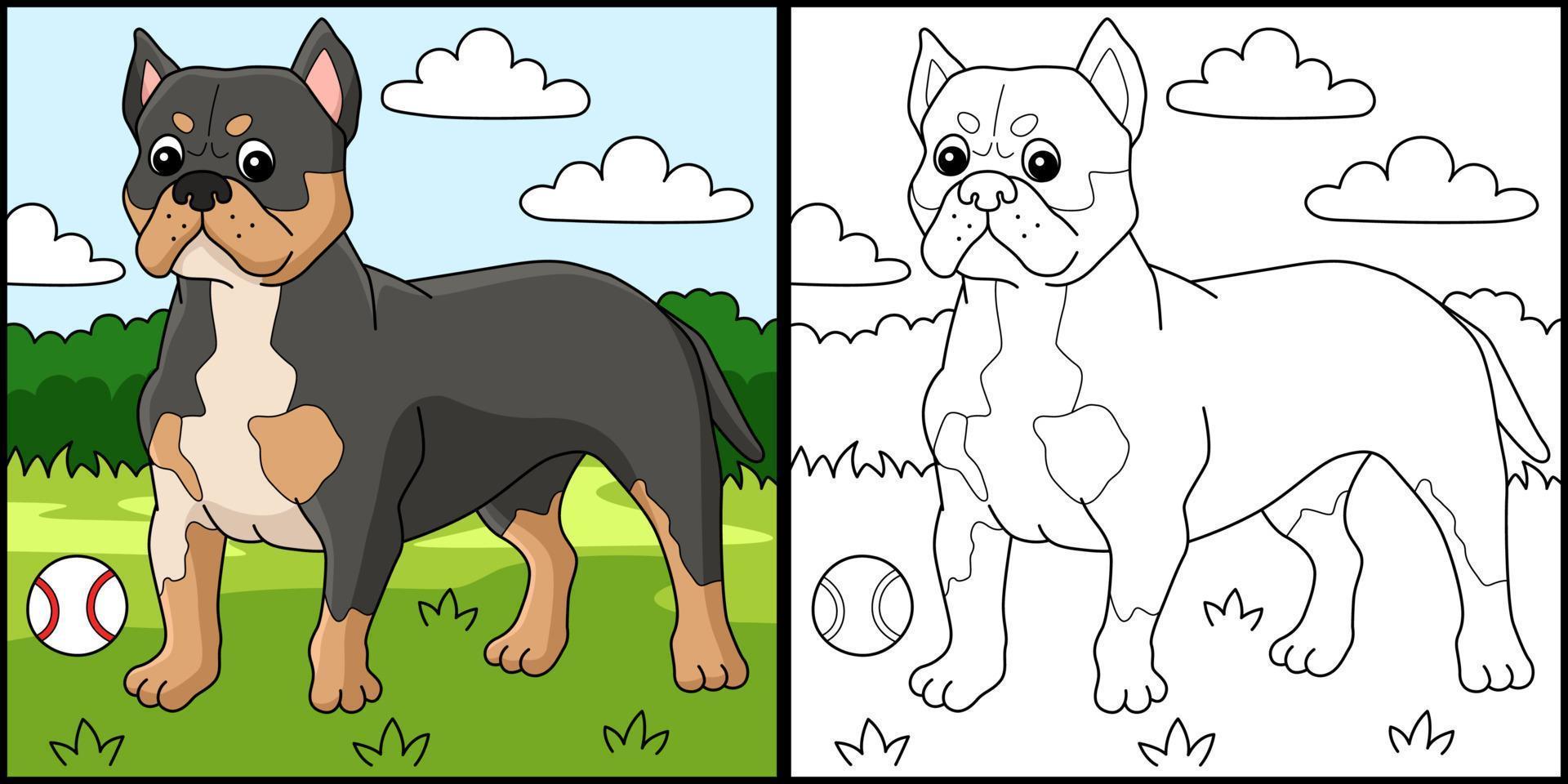 American Bully Dog Coloring Page Illustration vector