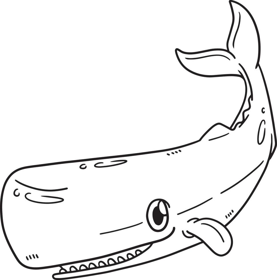 Sperm Whale Coloring Page for Kids vector