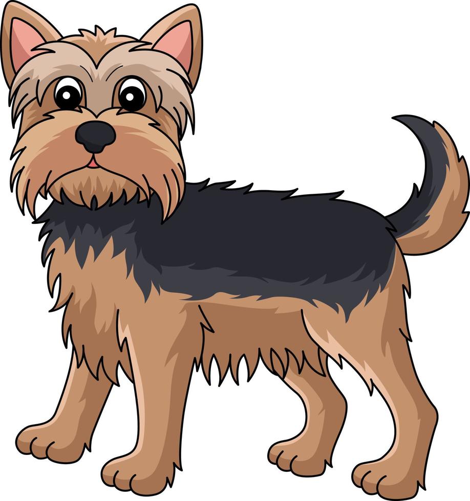 yorkshire terrier perro dibujos animados color clipart vector