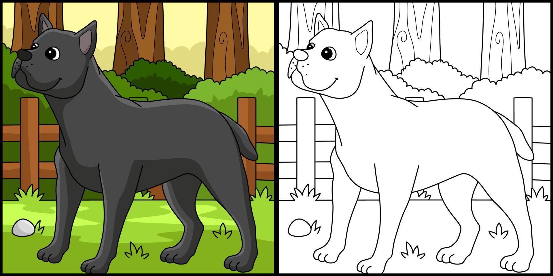 Cane Corso Dog Coloring Page Colored Illustration vector