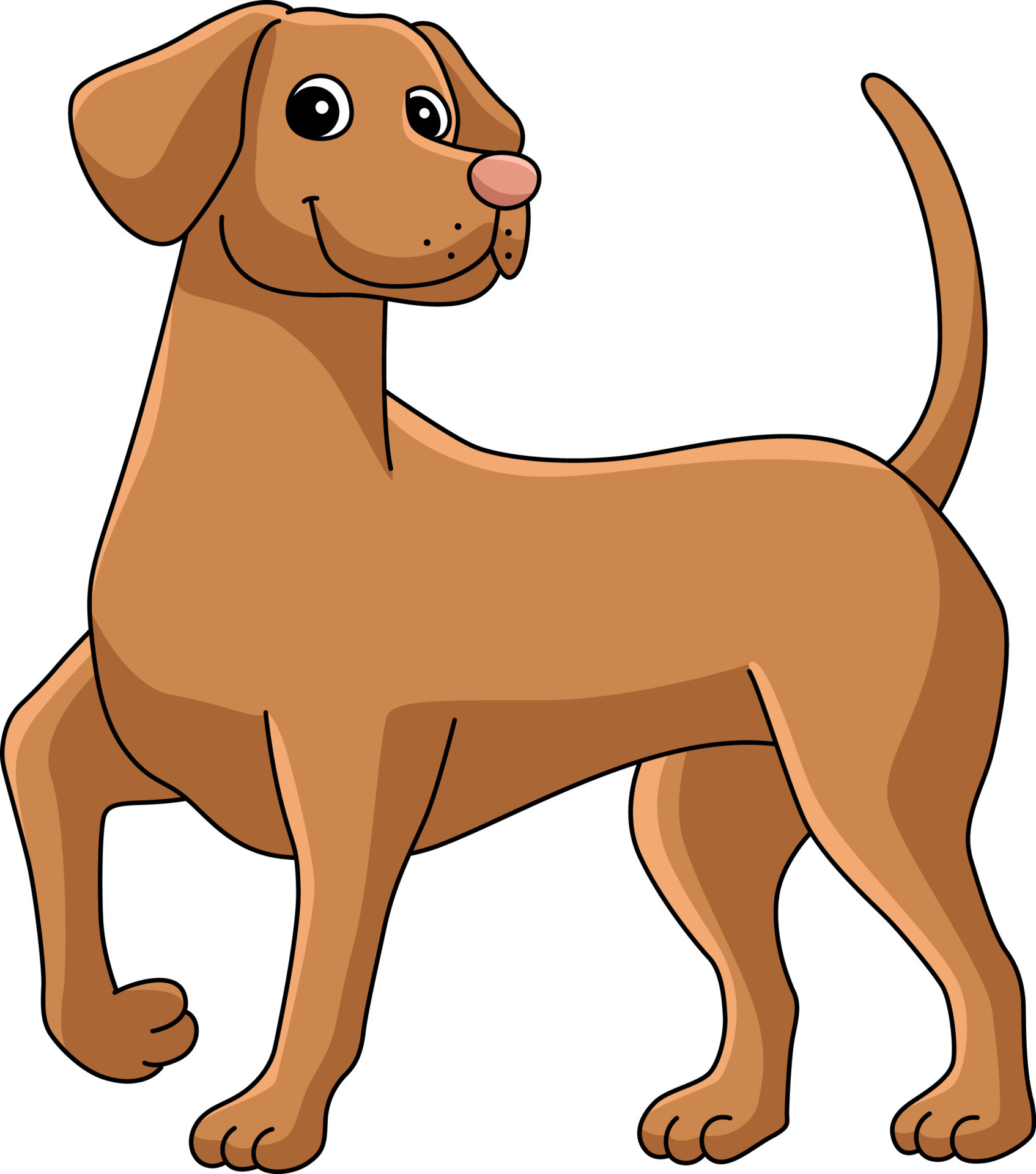 Vizsla Dog Cartoon Colored Clipart Illustration 10789293 Vector Art at