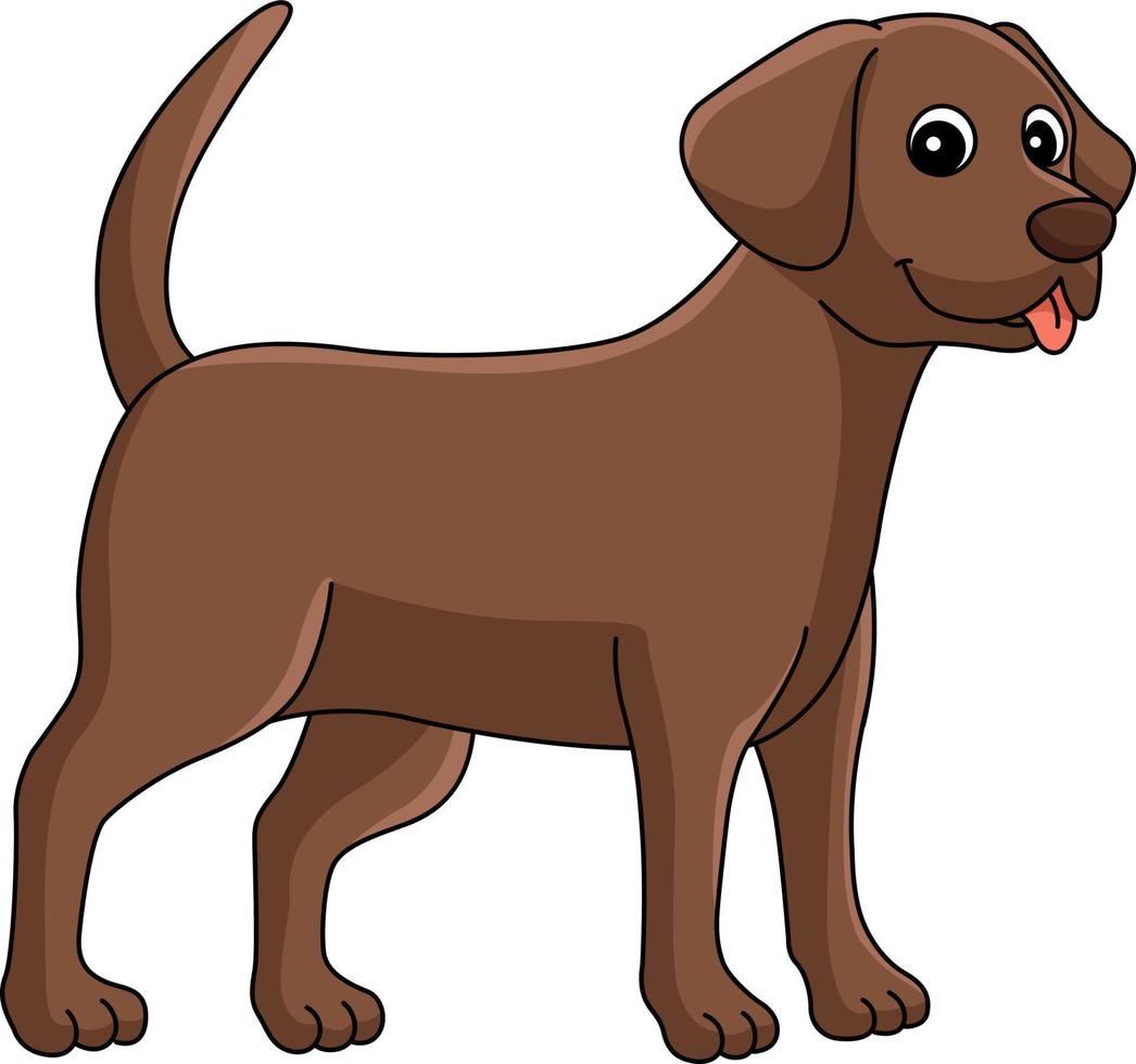 Chocolate Lab Dog Cartoon Colored Clipart vector