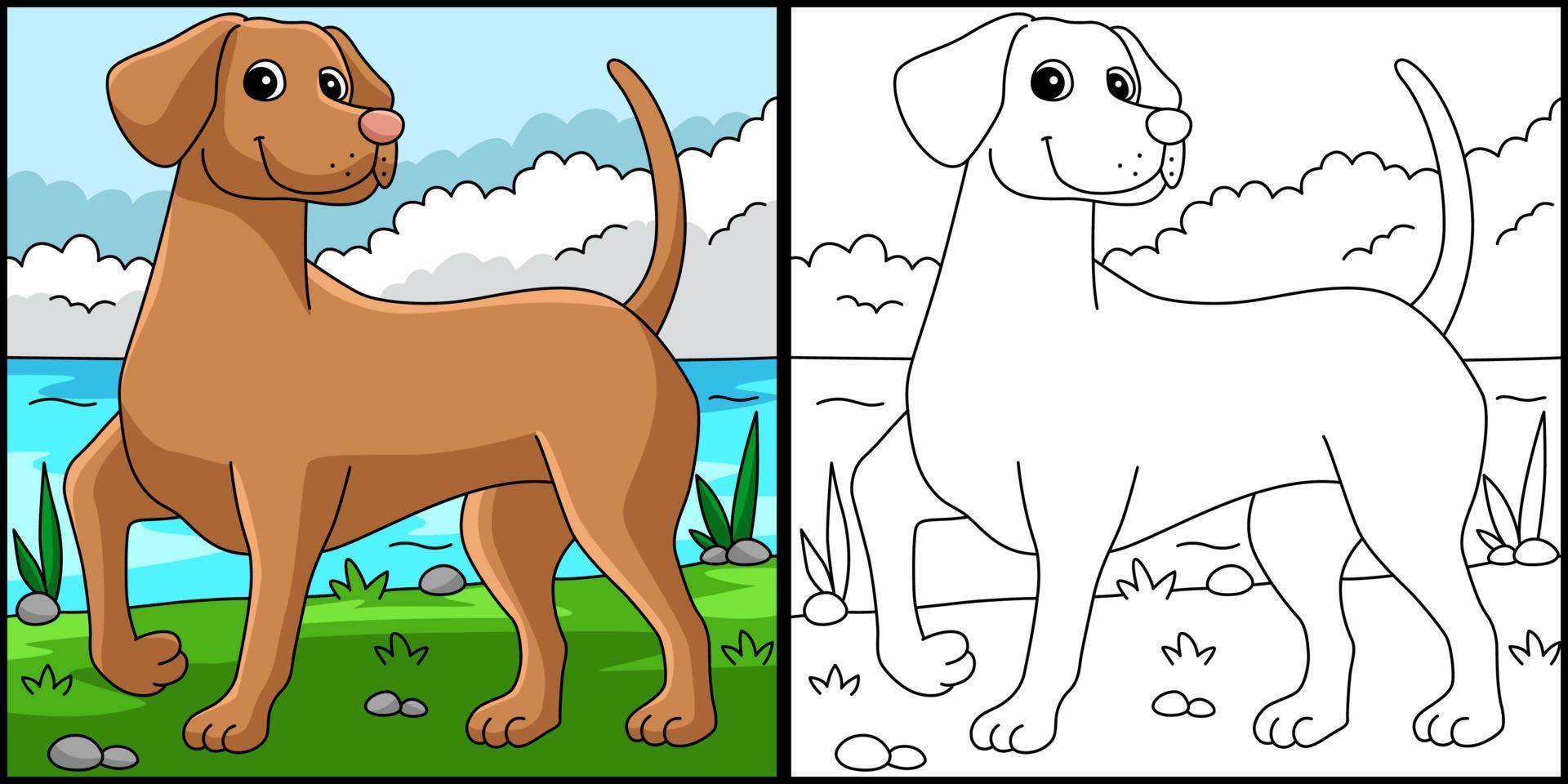 perro vizsla página para colorear ilustración en color vector