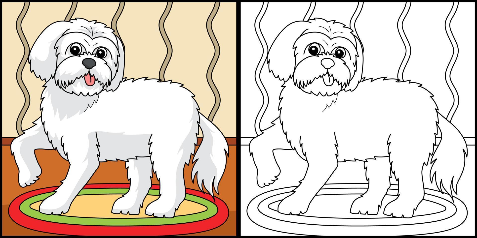 perro maltés página para colorear ilustración en color vector