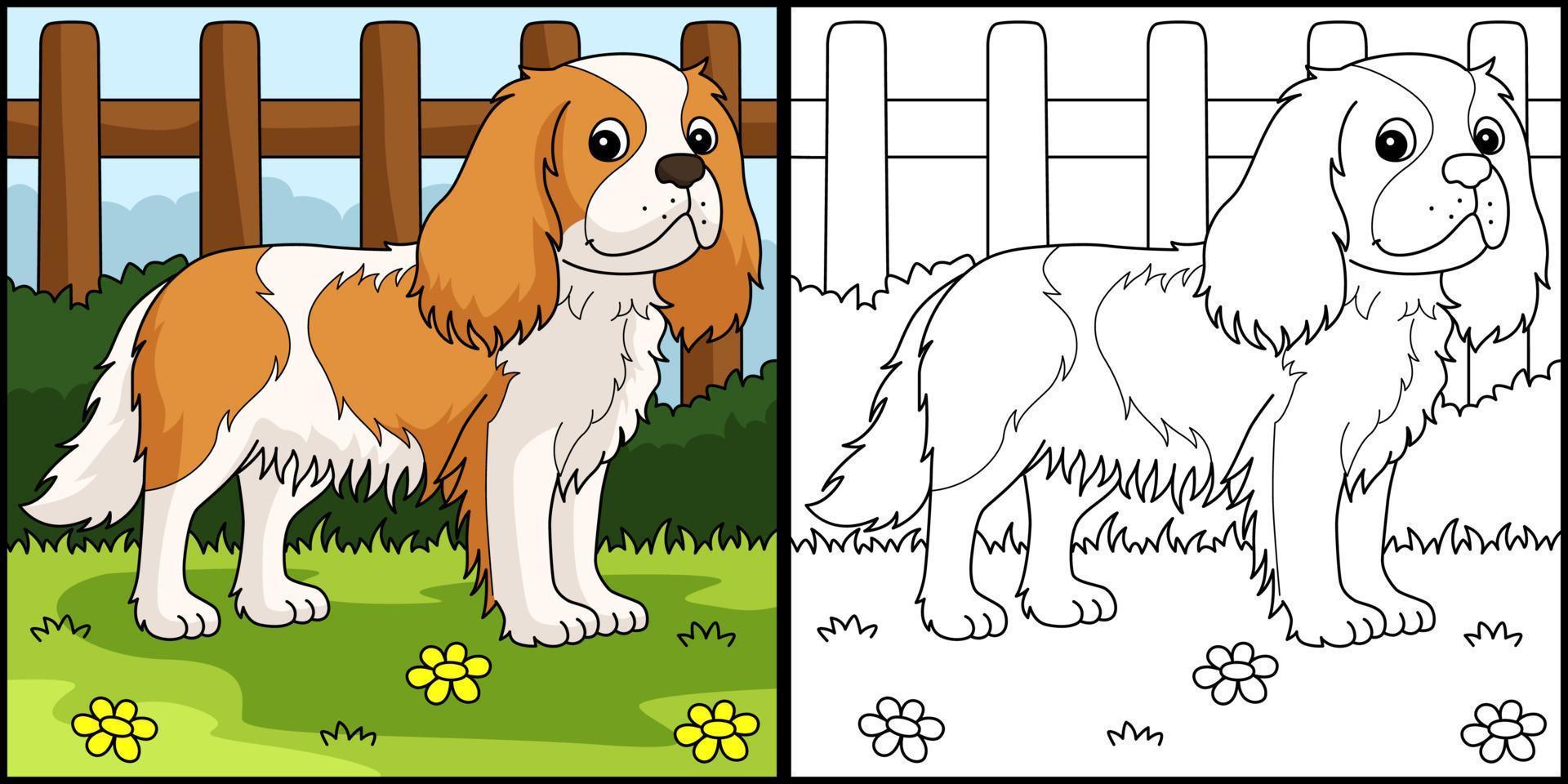 cavalier king charles spaniel perro página para colorear vector