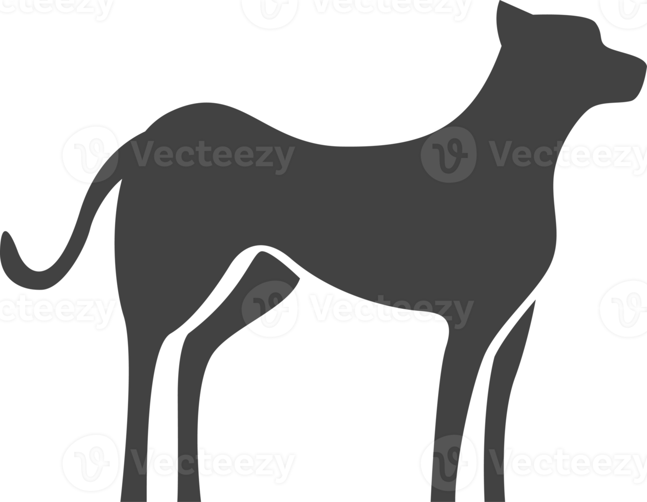 Tiersilhouetten isoliert auf transparentem Hintergrund png