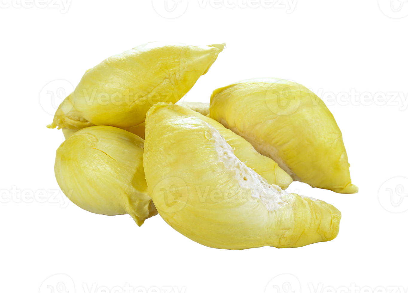 Durian close-up, transparent background. png