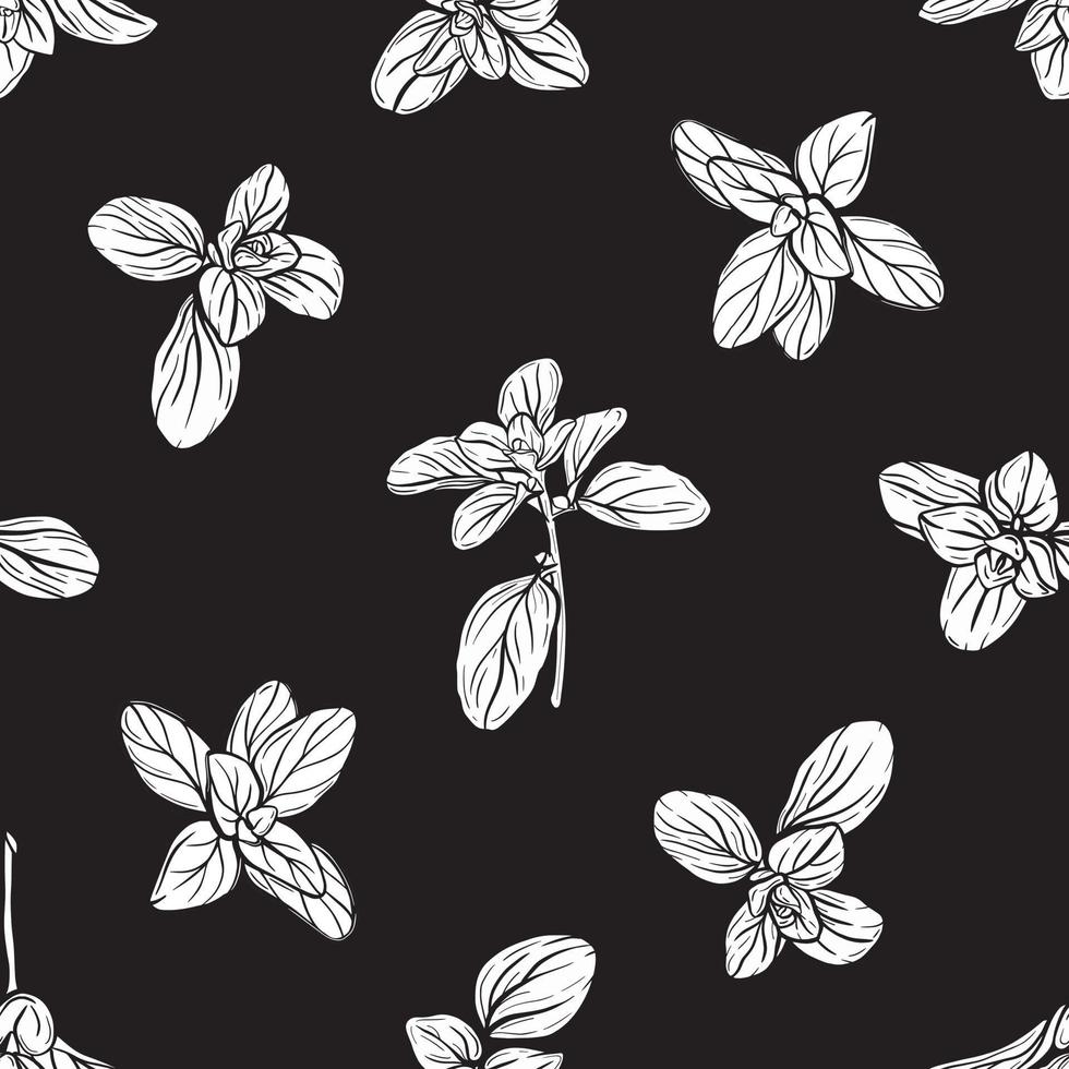 Basil Pattern. Italian herbs.A sprig of marjoram vector