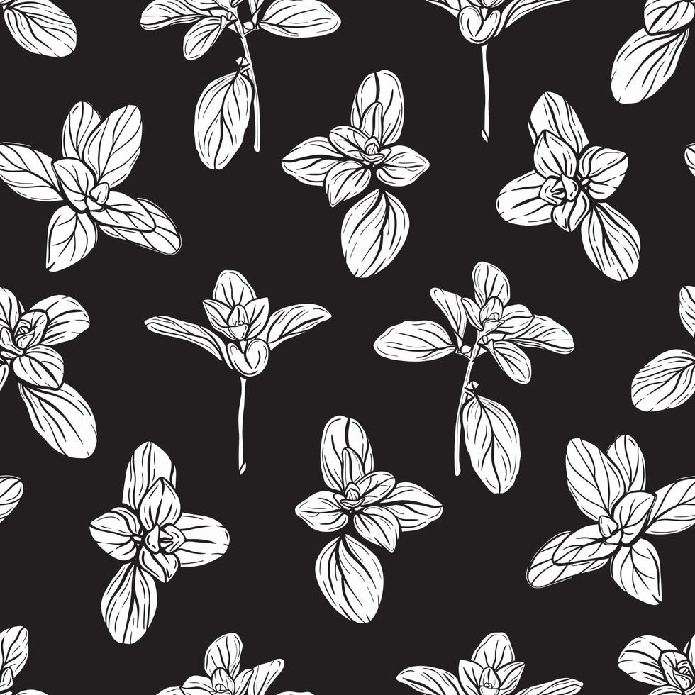 Basil Pattern. Italian herbs.A sprig of marjoram vector