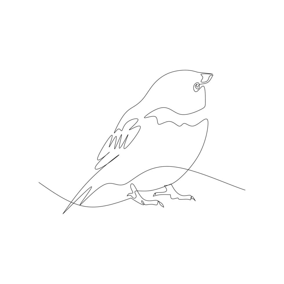 Sparrow vector illustration