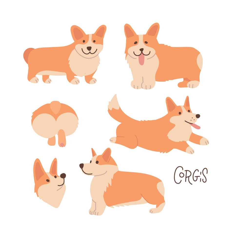 Cute and happy welsh corgi set in different poses. Funny corgis for decoration and design in flat vector cartoon style.