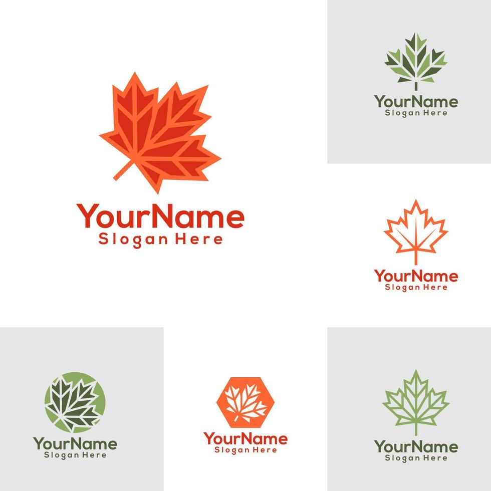 Set of Maple leaf Logo Design Template. Maple leaf logo concept vector. Creative Icon Symbol vector