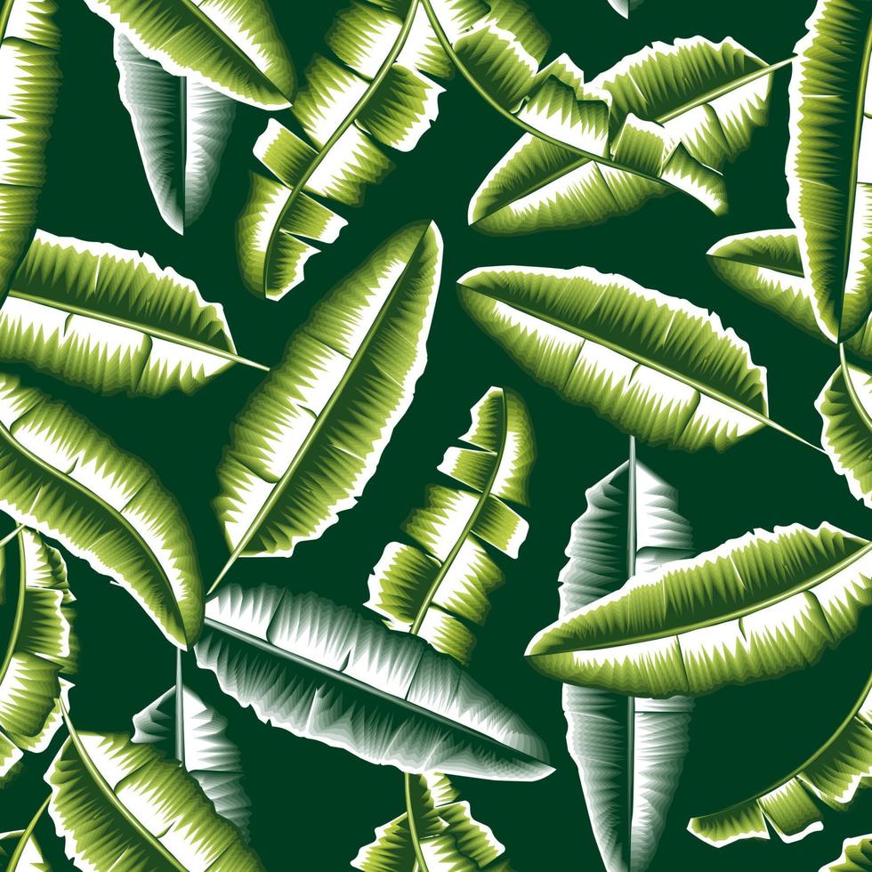 vintage green banana leaves seamless pattern. tropical banana foliage seamless pattern. green monochromatic banana leaf wallpaper. nature wallpaper. tropical background. autumn design. Summer design vector