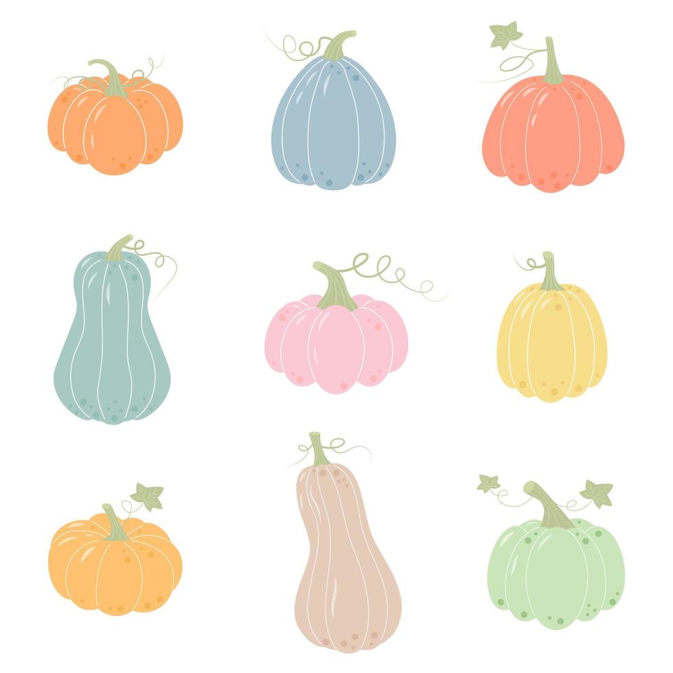 Set of pumpkins. Hand drawn pumpkins of different shapes and colors. vector