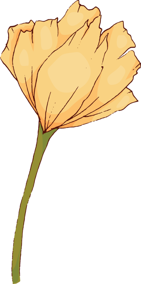 dibujar a mano boceto de flores y hojas png