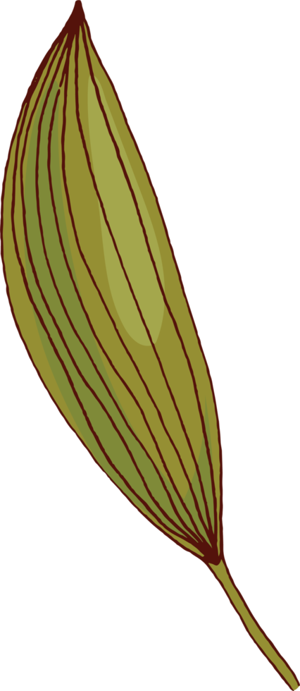 hand draw sketch leaf png