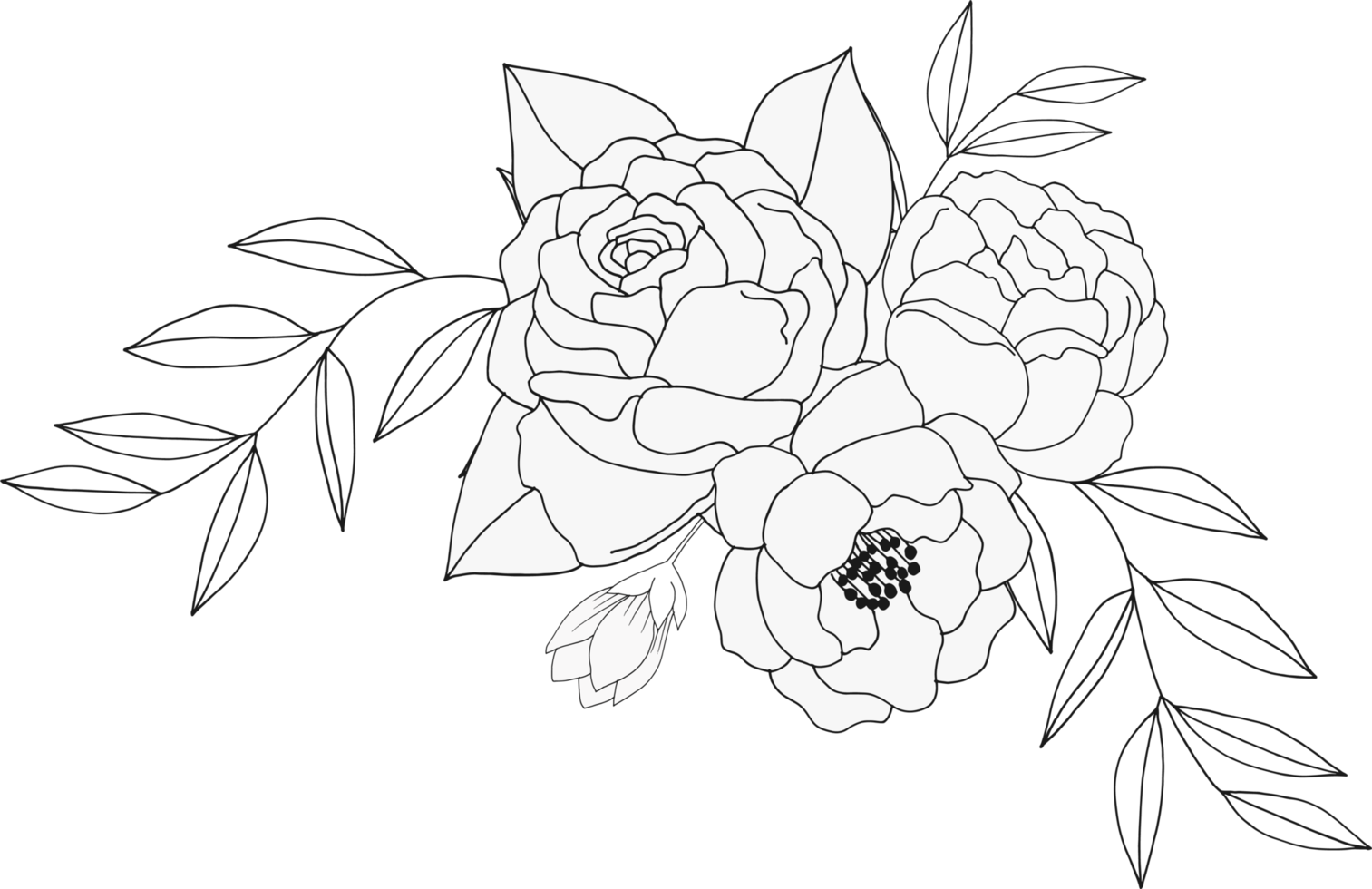 hand draw sketch flower and leaf png