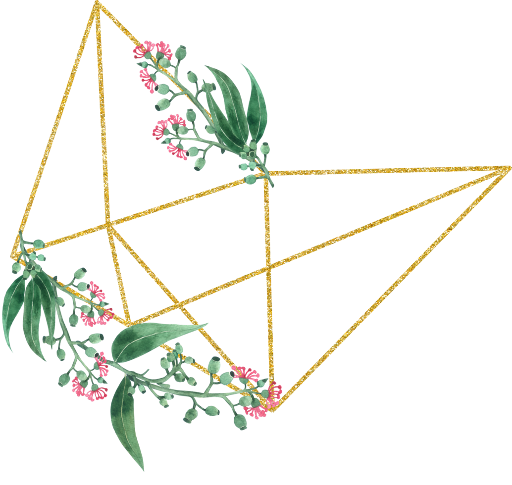 eucalipto acquerello con oro geometrico png