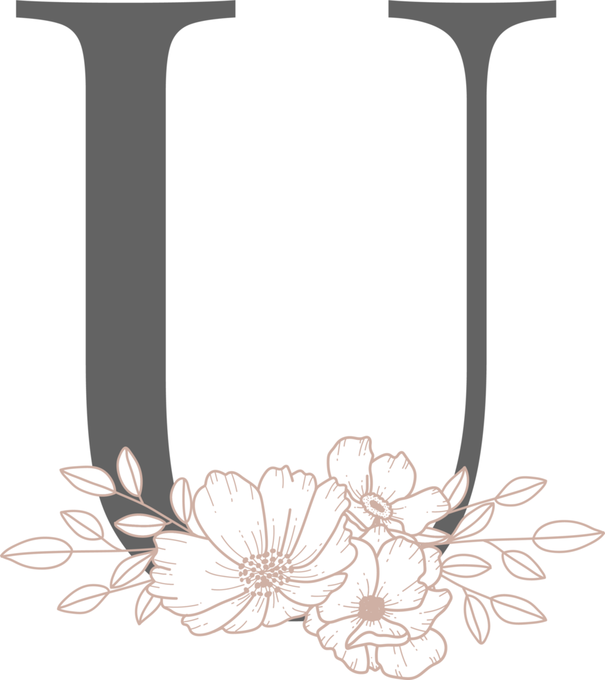 alfabeto com arte de linha de flores png