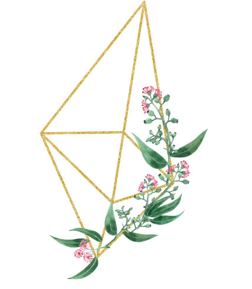 Eucalyptus watercolor with gold geometric png