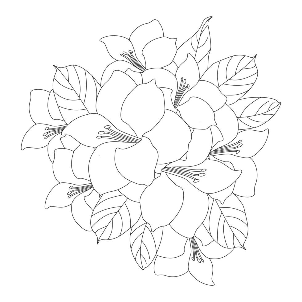 flower coloring page with pencil sketch drawing in vector graphic in blooming petal line drawing