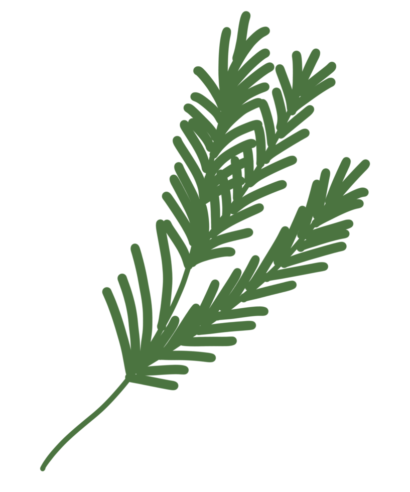 Leaf cartoon doodle png