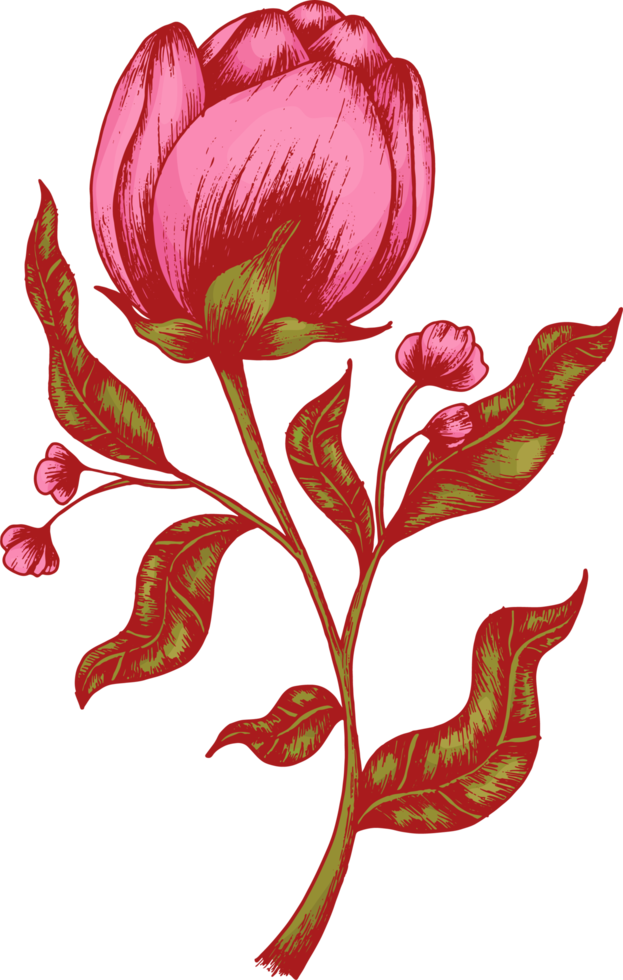 dibujar a mano boceto de flores y hojas png